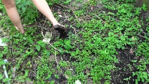 StreetBlowjobs: Oxaunna Envy cum in her pussy XXX