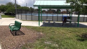 StreetBlowjobs - Christina Lina swallow