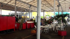 StreetBlowjobs - Caucasian Hayden Bell masturbating outdoors