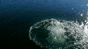 Brazzers Exxtra - Brown hair Vanessa Cage ass licking cumshot